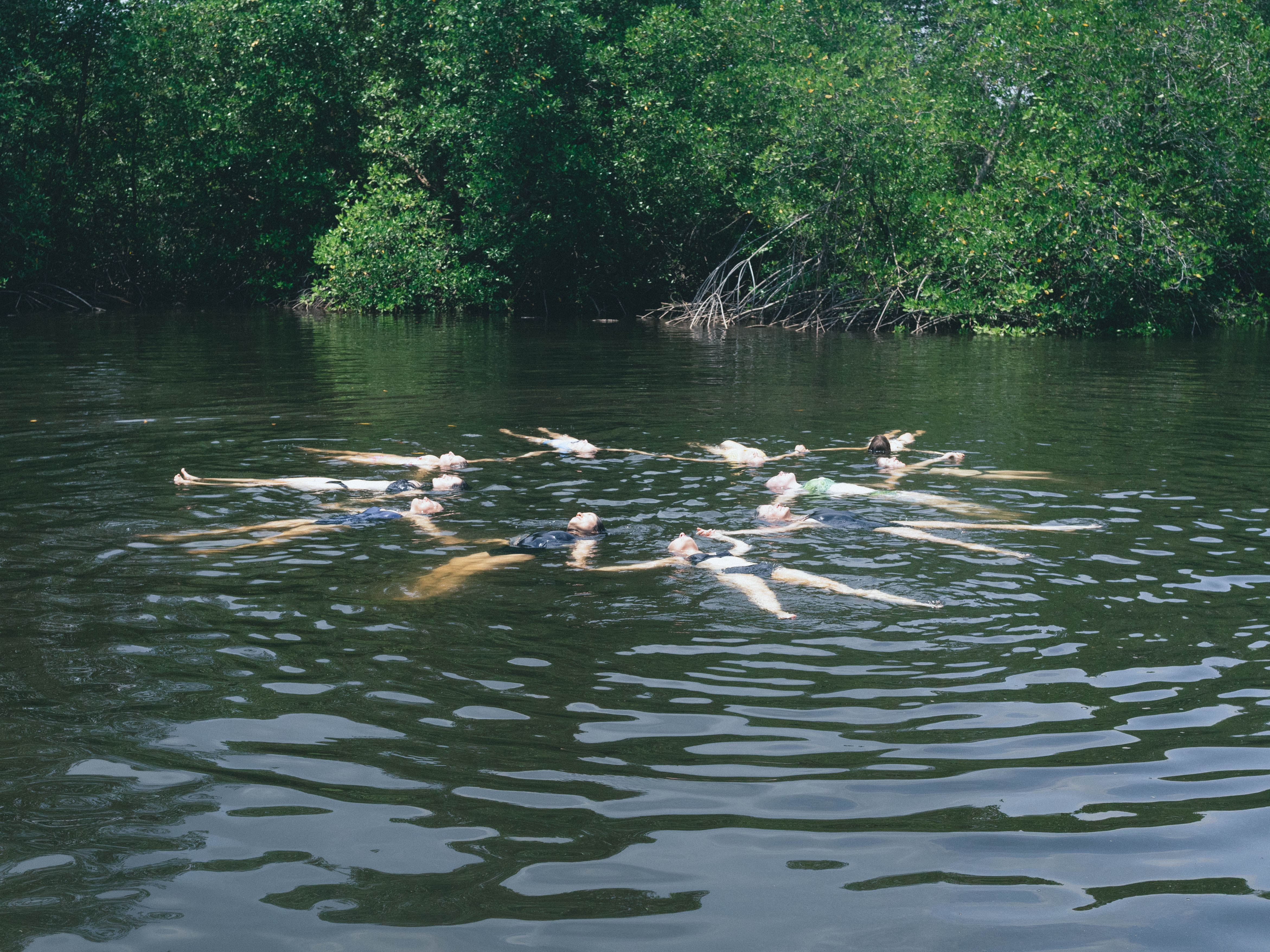 Group swimming in mangrove waters during boat excursion