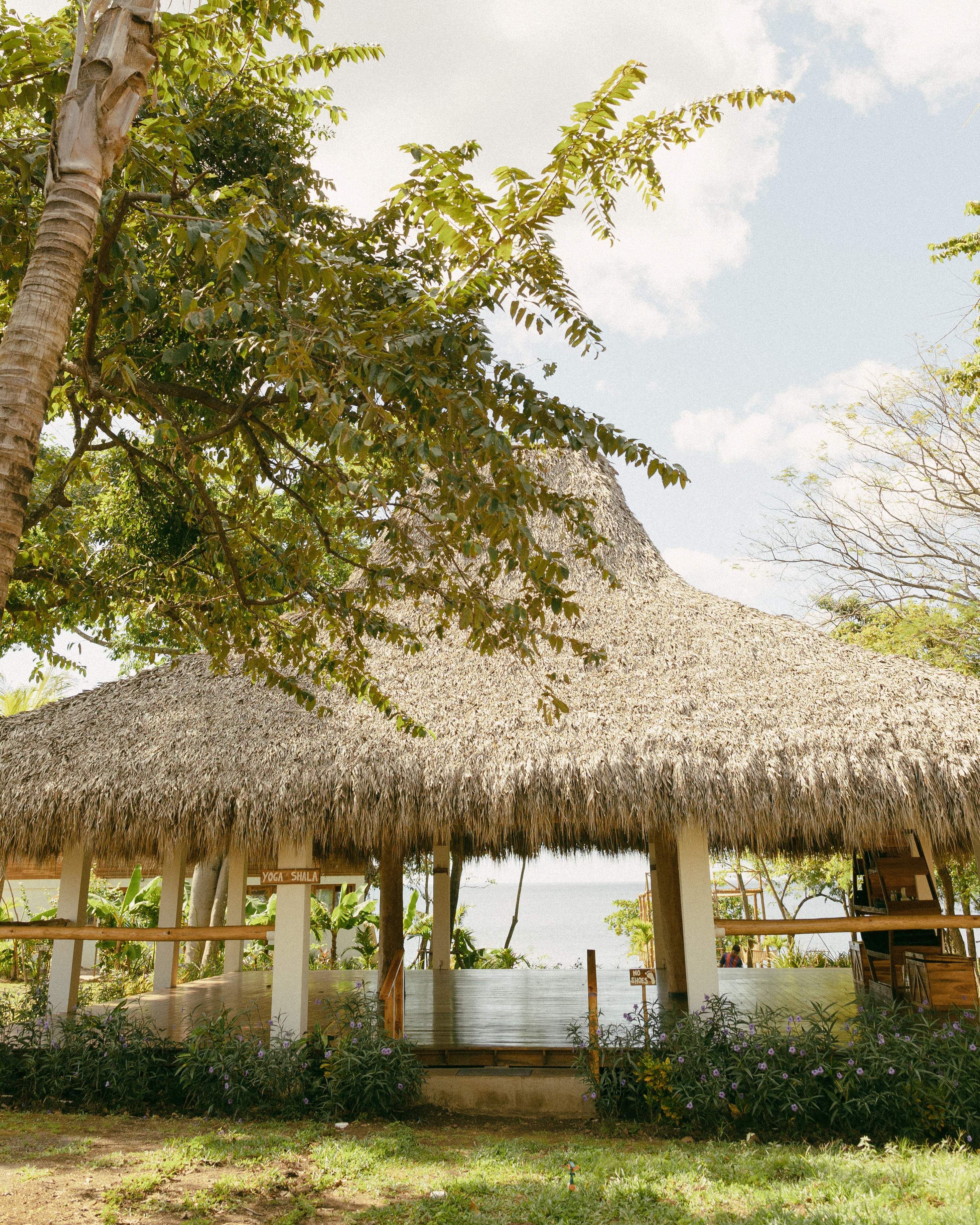 Oceanfront yoga shala with thatched roof overlooking the Pacific