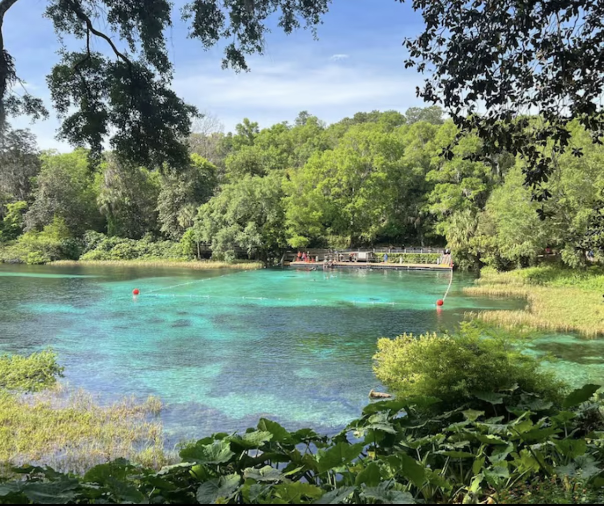 Aerial view of turquoise spring water with dock
