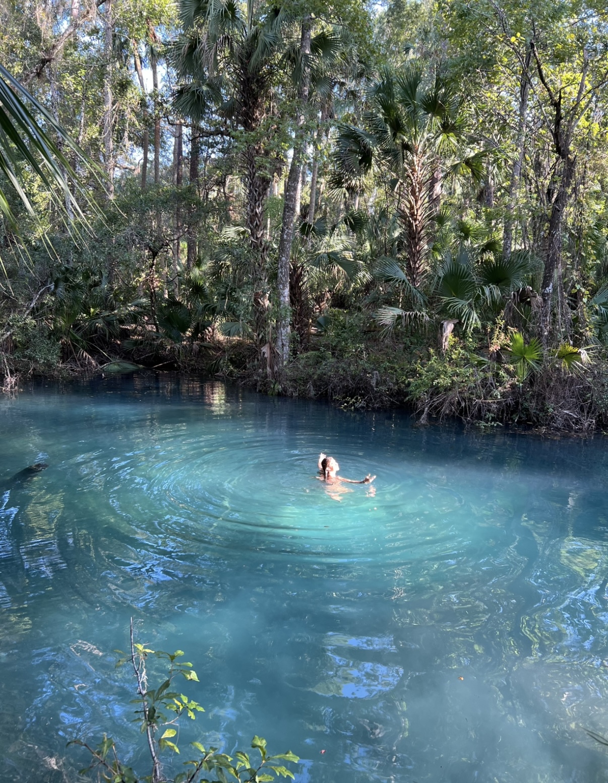 Woman floating peacefully in crystal clear turquoise spring water surrounded by palm trees