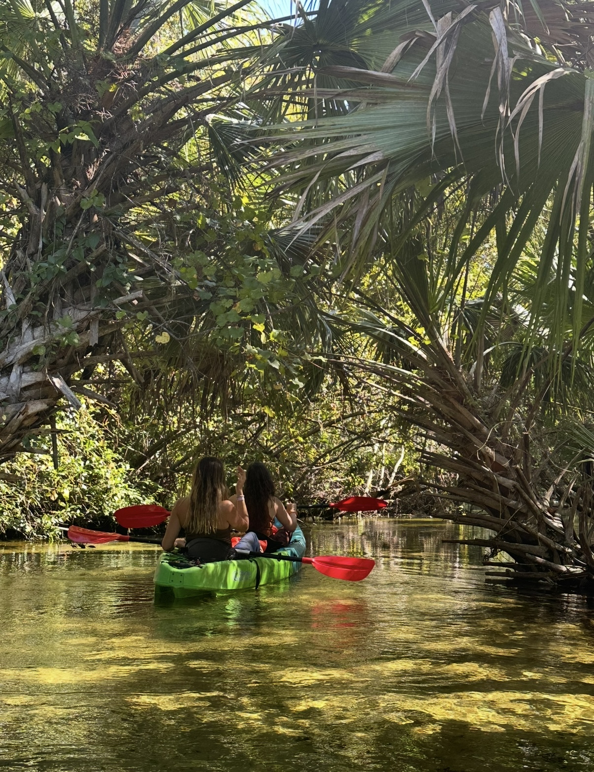 Two women kayaking together on peaceful river surrounded by lush tropical vegetation